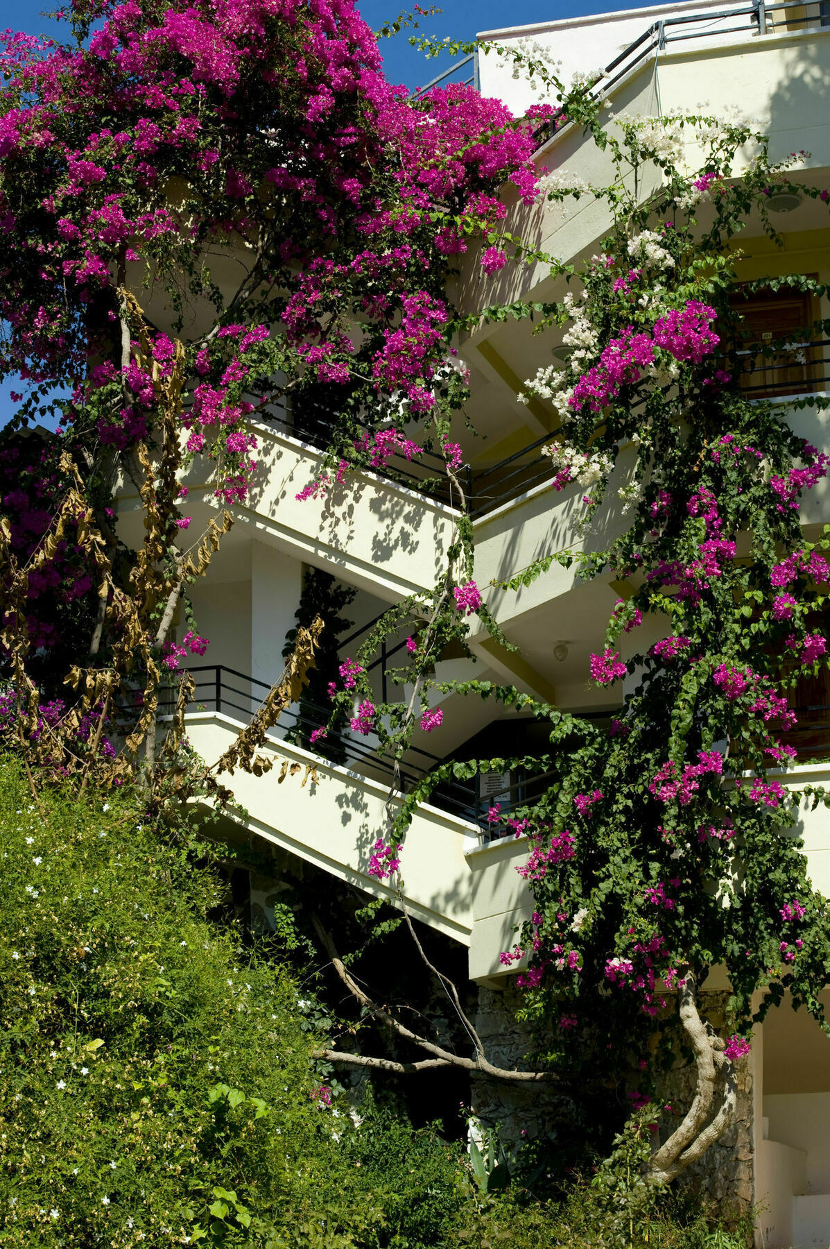 Pataros Hotel Patara Exteriör bild